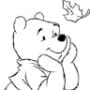 user-photo