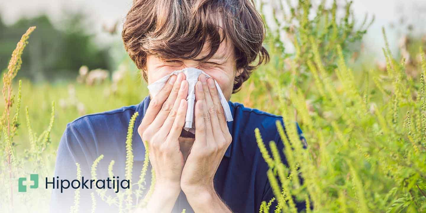 Cover Image for Alergija na ambroziju - kako uticati na simptome