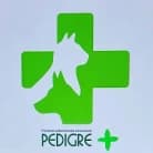 Pedigre