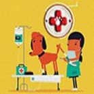 Veterinarska ambulanta za popravku kućnih ljubimaca