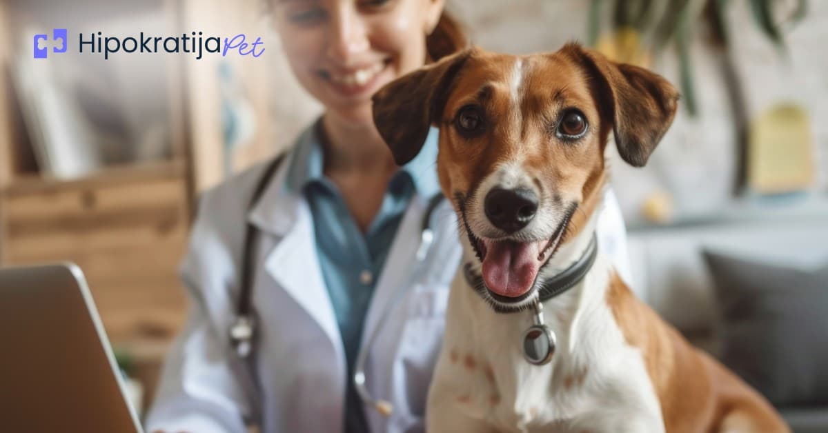 Cover Image for Važnost marketinga u PET industriji - saveti za veterinare i groomere