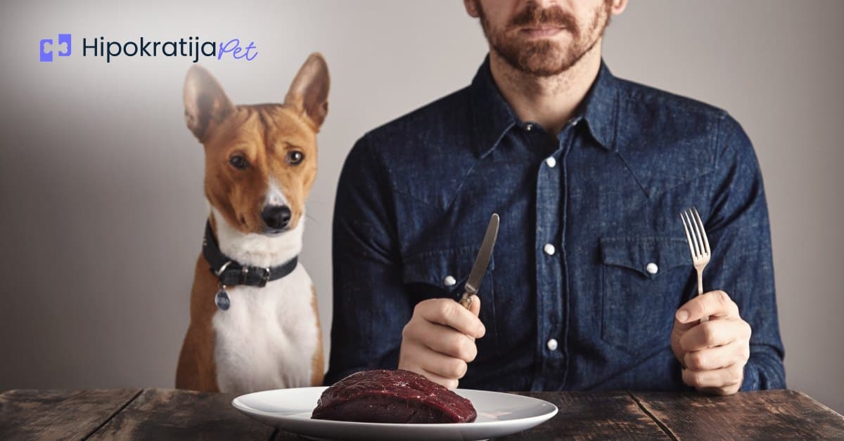 Cover Image for Šta psi ne smeju da jedu?