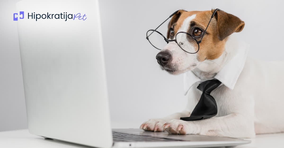 Cover Image for Zašto je SEO važan za veterinarske ustanove i grooming salone?