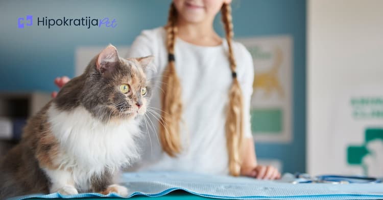 gliste-kod-macaka-kako-prepoznati-leciti-i-spreciti-parazite-kod-vaseg-ljubimca