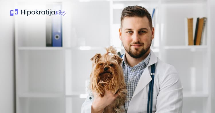 vodic-za-osnivanje-privatne-veterinarske-ustanove-i-grooming-salona