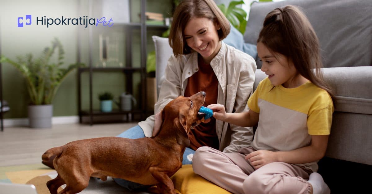 Cover Image for Psi za stan: Koje rase su najbolje za život u stanu?