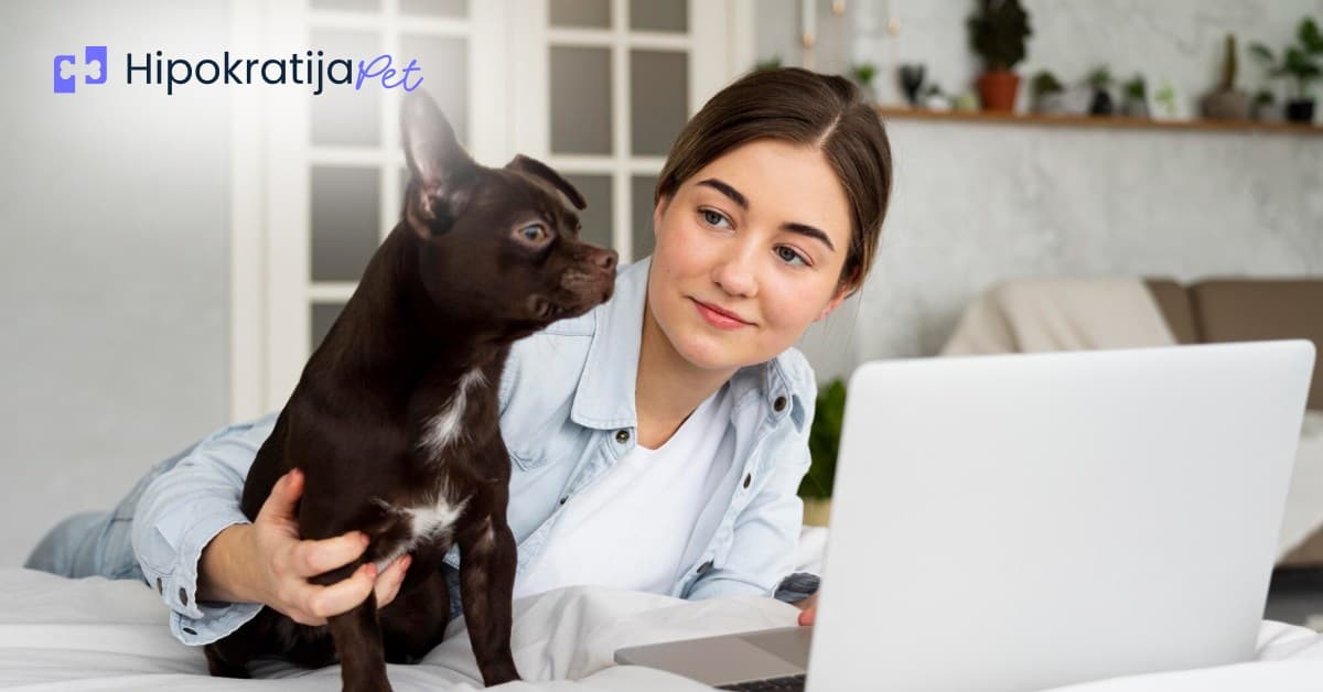 Cover Image for Istaknite se u onlajn recenzijama - Hipokratija PET ima rešenje!